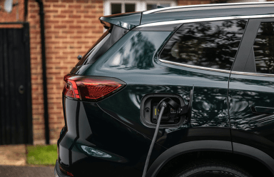 Rear view of a Chery vehicle parked facing nature