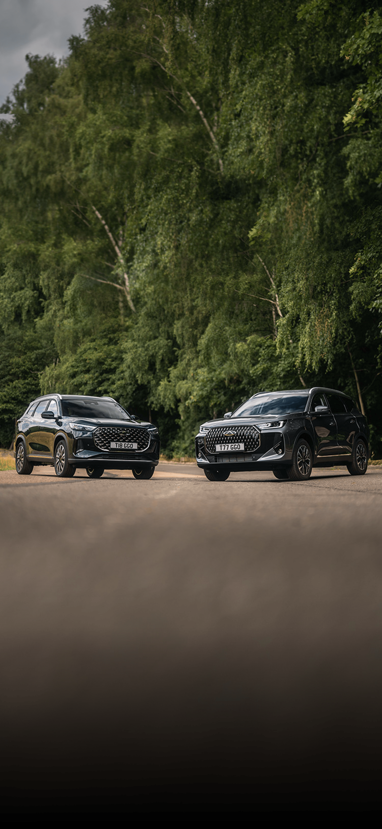 Portrait image of Chery TIGGO 7 & 8 surrounded by forest