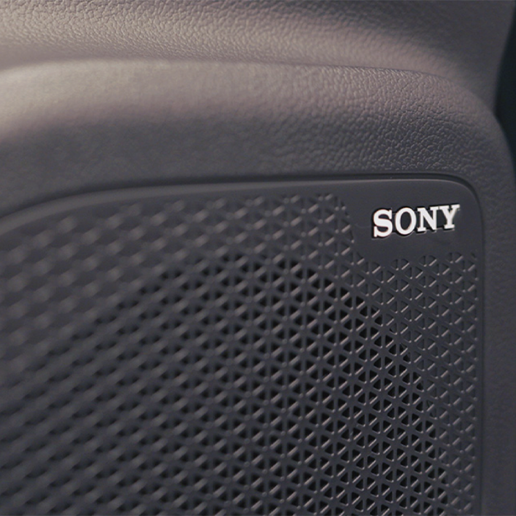 Sony® surround sound system