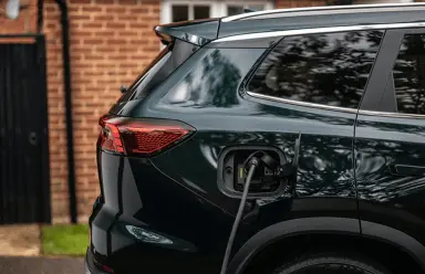Rear view of a Chery vehicle parked facing nature